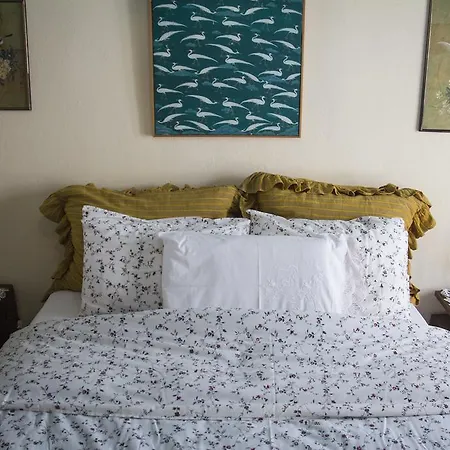 έφιποι Πινακάτες